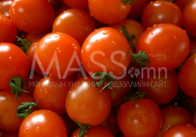 Улаан лоолийн ач тус
