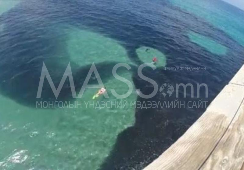 Далай доторх хар толбоны учир