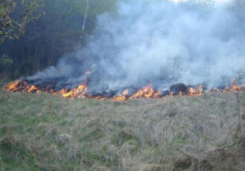Он гарсаар 17 аймгийн 74 суманд ой хээрийн түймэр гарчээ