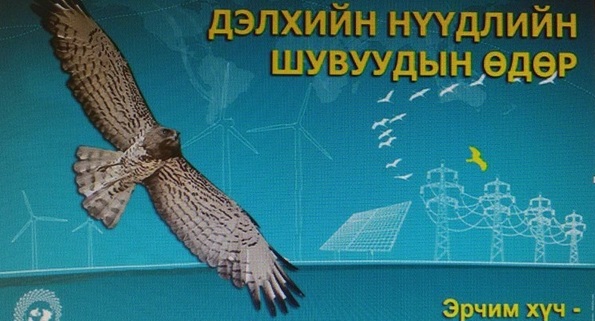 Дэлхийн нүүдлийн шувууны өдөр’’ болно