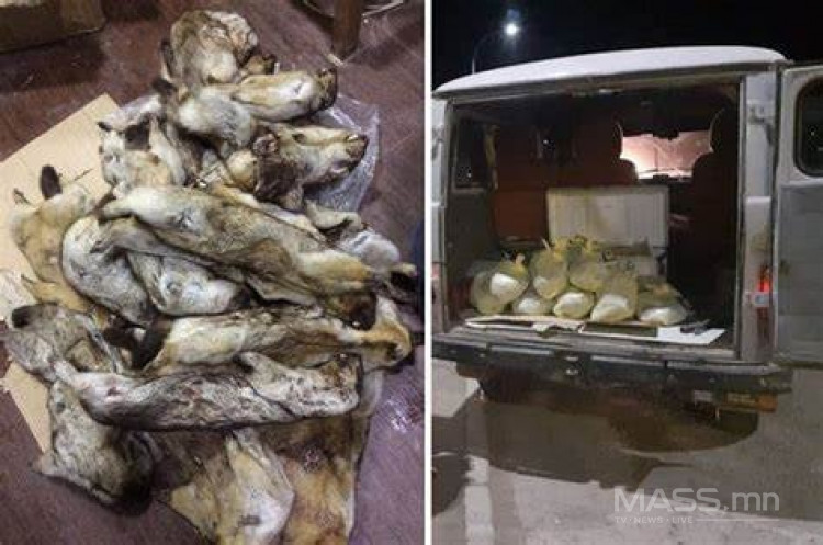 ДАЙВАР АЧААГ ШАЛГААГҮЙГЭЭС ЖОЛООЧ ТЭЭВРИЙН ХЭРЭГСЛЭЭ ТҮР ХУРААЛГАХ ...