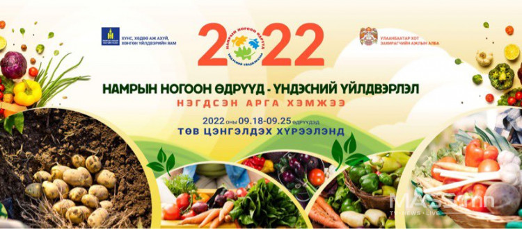 "Намрын ногоон өдрүүд-2022" арга хэмжээ 5 дахь өдрөө үргэлжилж байна