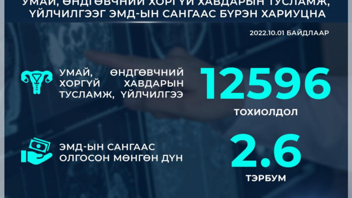 Умай, өндгөвчний хоргүй хавдрын тусламж, үйлчилгээний 85 хувийг ЭМД-ийн ...